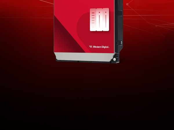 Amazon.com: Western Digital 20TB WD Red Pro NAS Internal Hard