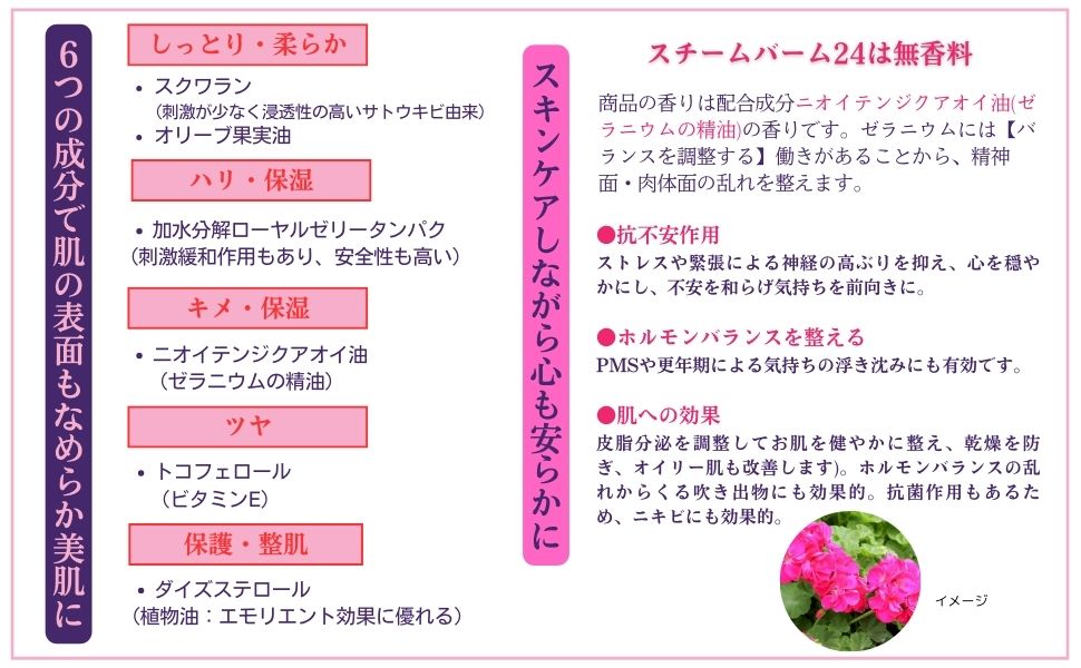 Amazon | 【公式】DEAZA（ディーザ） スチームバーム24+パウチつき