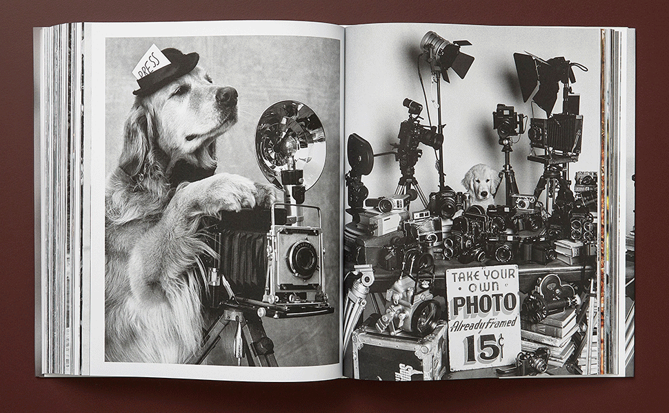 Amazon.com: Bruce Weber. The Golden Retriever Photographic Society