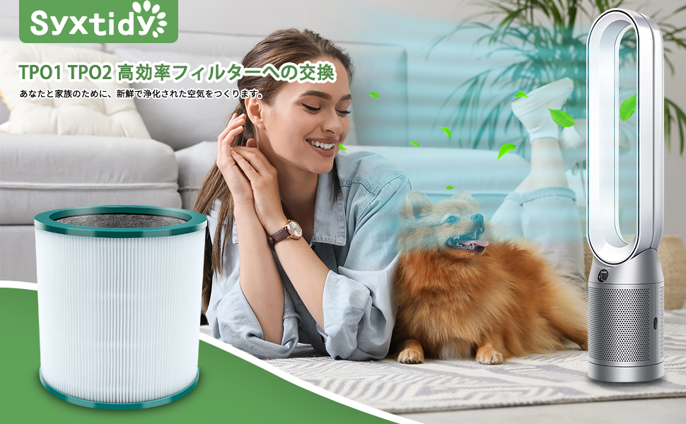 Amazon.co.jp: 2パックダイソンタワー清浄機 Pure Cool Link TP00