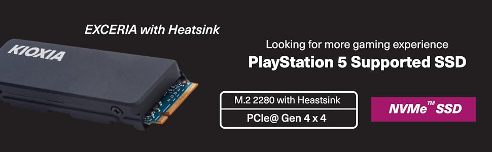 KIOXIA EXCERIA with Heatsink NVMe™ SSD 2TB : Amazon.in: Musical