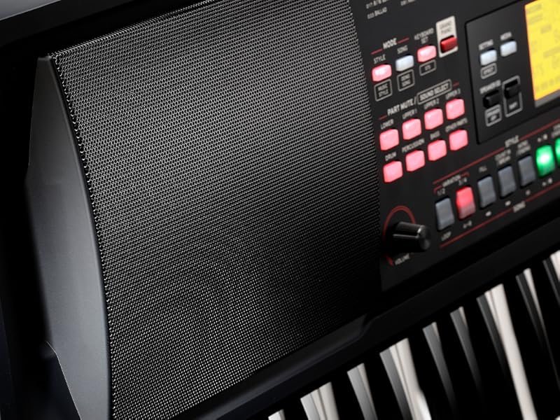 Amazon.com: Korg EK-50 L 61-key Arranger Keyboard : Musical