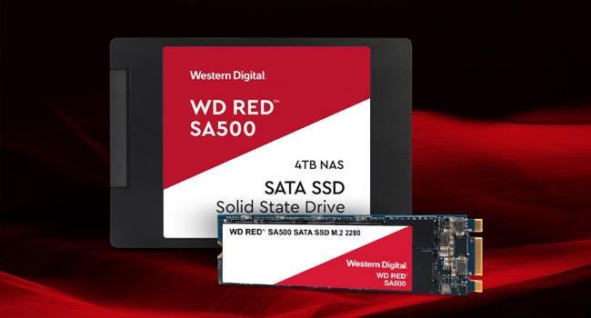 Amazon.com: Western Digital 2TB WD Red SA500 NAS 3D NAND Internal