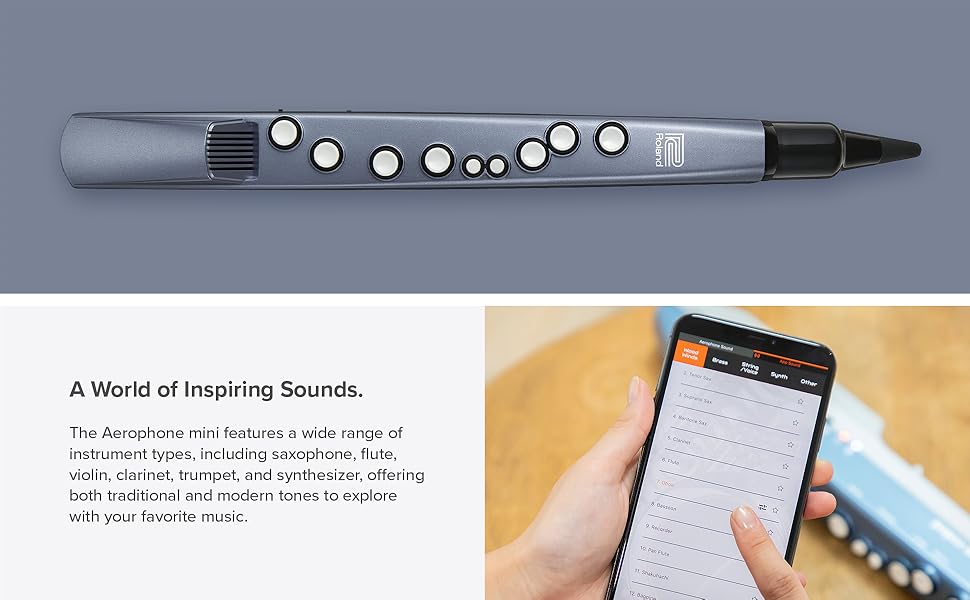 Amazon.com: Roland Aerophone AE-01 Mini Digital Wind Instrument