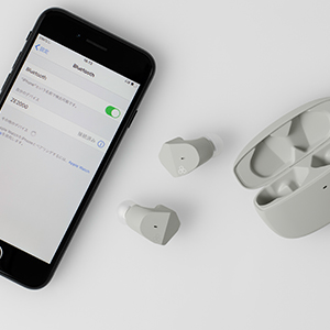 Amazon.co.jp: 【2476】【ASH GRAY】final ZE2000 完全ワイヤレス