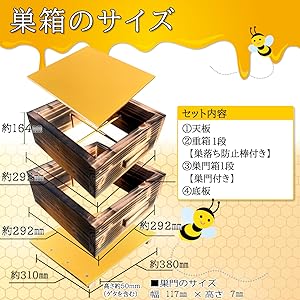 Amazon｜日本蜜蜂 巣箱 ニホンミツバチ 日本みつばち 重箱式巣箱 2段