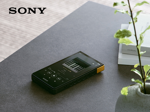 Amazon.com: Sony NW-ZX707 Walkman 64GB Hi-Res Portable Digital