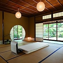 Amazon | レイコップ ふとんコンディショナー ふとコン FCST-100JPHA