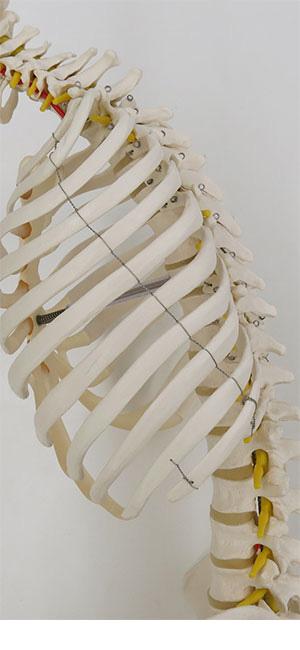 79d83e5d-146e-467f-8767-