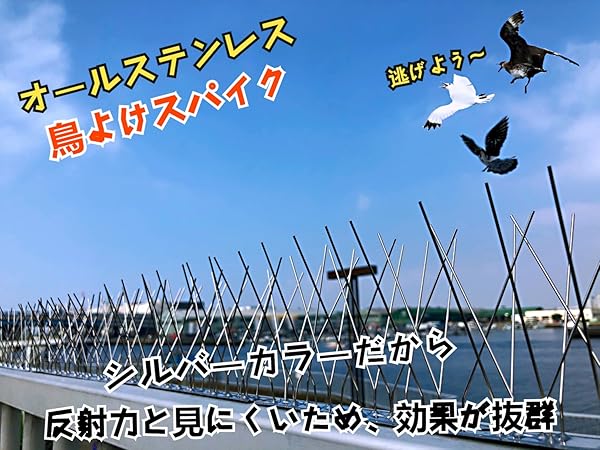 Amazon | ONESORA 鳩避け 鳥よけ 100%ステンレス製 バードピン 耐久性