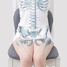 Amazon.co.jp: PINTO W 【正規品】骨を支える腰ラク習慣 疲れを感じ