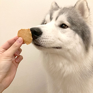 Amazon | ペティオ (Petio) 素材そのまま 完全無添加 ササミ パリッと