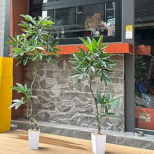 Amazon｜Yuwinron 人工観葉植物 フェイクグリーン 観葉樹 造花 光触媒