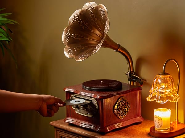 Amazon.co.jp: HOFEINZ 天然木材 蓄音機 純銅ホーン 工芸品 マルチ