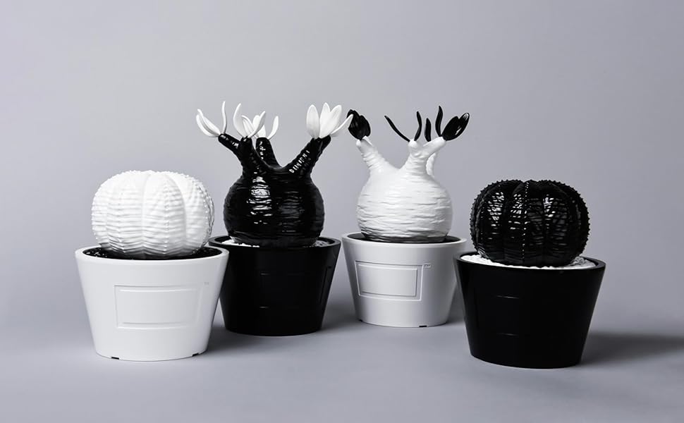 Amazon.co.jp: MEDICOM TOY × BOTANIZE 植物フィギュア, グロス