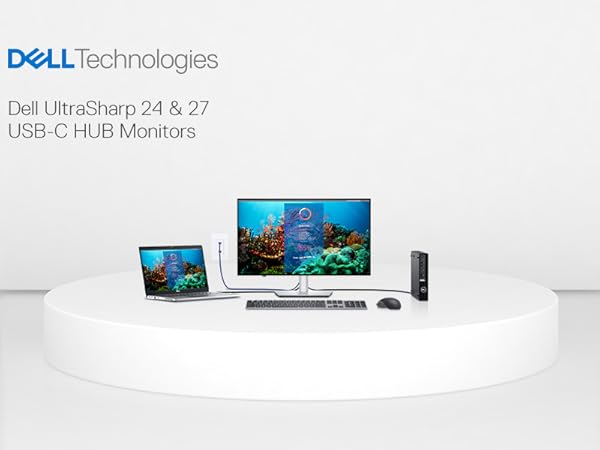 Amazon.com: Dell UltraSharp U2422HE 23.8