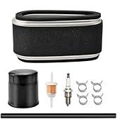 Amazon.com : 136-7806 127-9252 Air Filter 136-7848 Oil Filter Kit