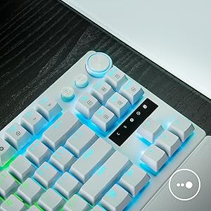 Amazon.co.jp: ラピッドトリガー 搭載 Razer レイザー Huntsman V3 Pro