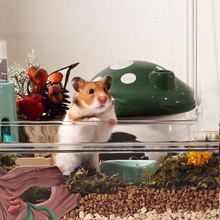 Amazon | BUCATSTATE ハムスターケージ 650 【木脚マット付き】 全面