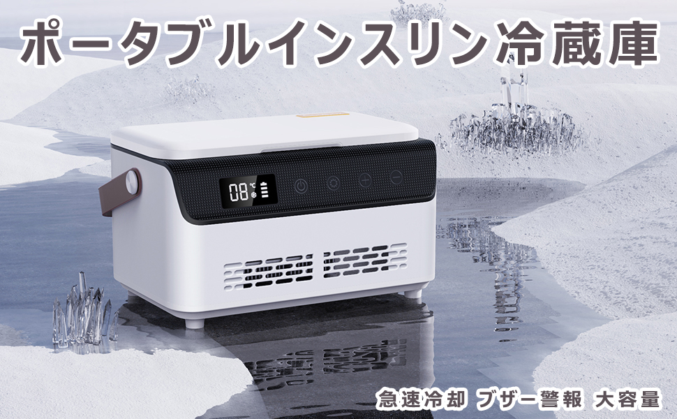 Amazon.co.jp: インスリン冷蔵庫 ポータブル 薬クーラー 充電式