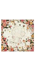 Amazon.co.jp: Flowerwall(初回限定盤) - 米津玄師 (DVD+画集付