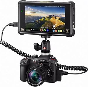 Amazon.co.jp: パナソニック ミラーレス一眼カメラ ルミックス GH5S