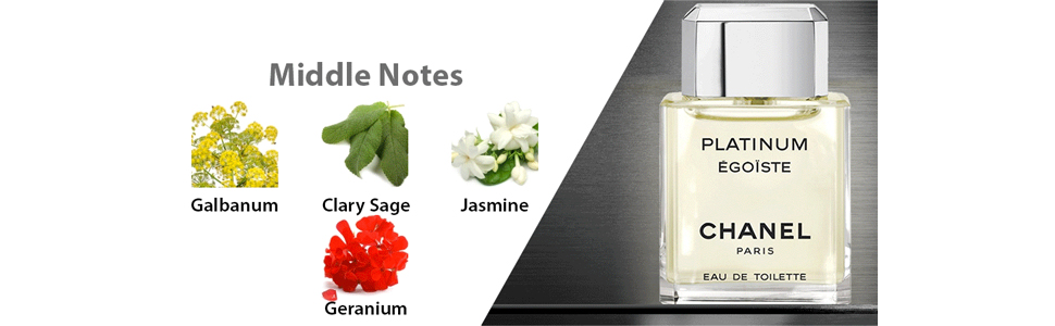 Chanel Platinum Egoiste Pour Homme 100 ml Eau De Toilette : Amazon