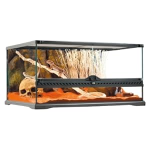 76585b1e-6b62-4bce-b478-