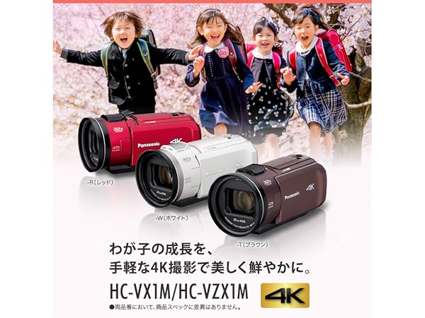 Amazon.co.jp: パナソニック 4K ビデオカメラ VX1M 64GB あとから補正