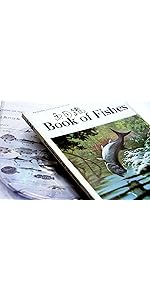 Amazon.co.jp: 魚図鑑 (期間限定生産盤[2CD+魚図鑑]): ミュージック