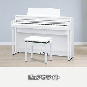 Amazon | KAWAI CA4900GP 電子ピアノ 88鍵 木製鍵盤 マット