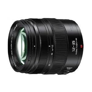 Amazon.com : Panasonic LUMIX Professional 12-35mm Camera Lens G X