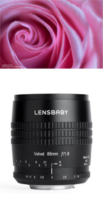 Amazon.co.jp: 【限定仕様モデル】Lensbaby 単焦点レンズ Velvet 85
