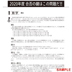 駿台甲府高校 2021年度 【過去問5年分】 (高校別 入試問題シリーズE40