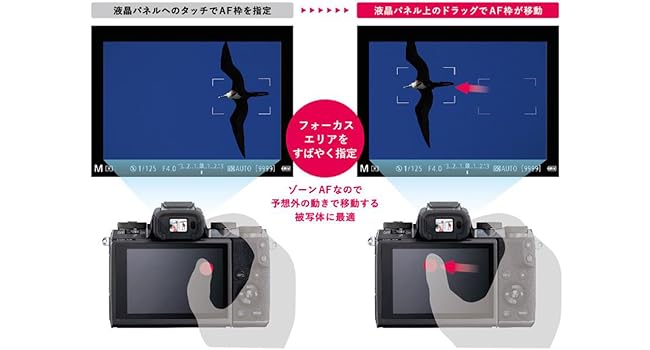 Amazon | Canon ミラーレス一眼カメラ EOS M5 レンズキット EF-M18