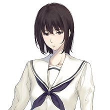 Amazon.co.jp: 天ノ少女《PREMIUM EDITION》 : Software