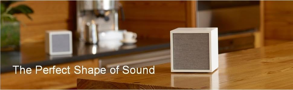 Amazon.com: Tivoli Audio CUBE Wireless Speaker (Black) : Electronics