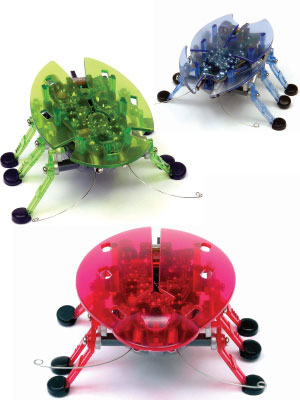 Amazon | HEXBUG ヘックスバグ カブトムシ (※1個・お色はおまかせ