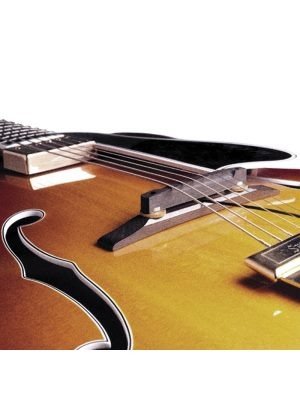 Amazon | FISHMAN Electric /Acoustic Archtop Guitar Pickup アーチ