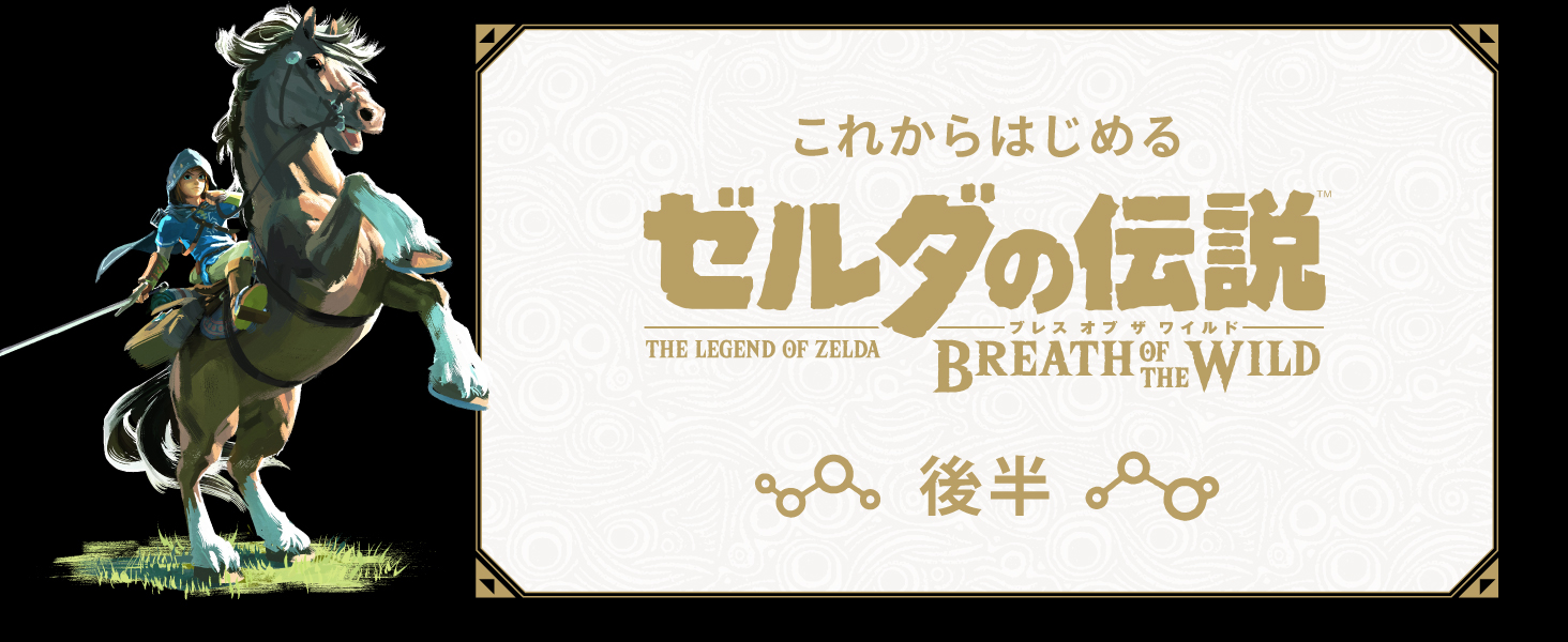 Amazon.co.jp: 【Switch用追加コンテンツ】 ゼルダの伝説 ブレス オブ