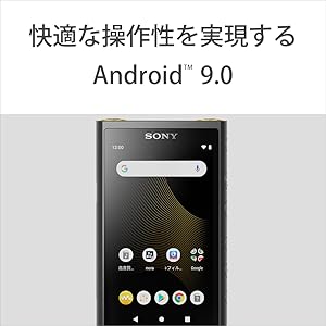 Amazon.co.jp: ソニー ウォークマン 64GB ZXシリーズ NW-ZX507