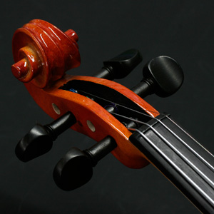 Amazon | STENTOR (ステンター) ビオラセット SVA-240 4/4【安心の日本