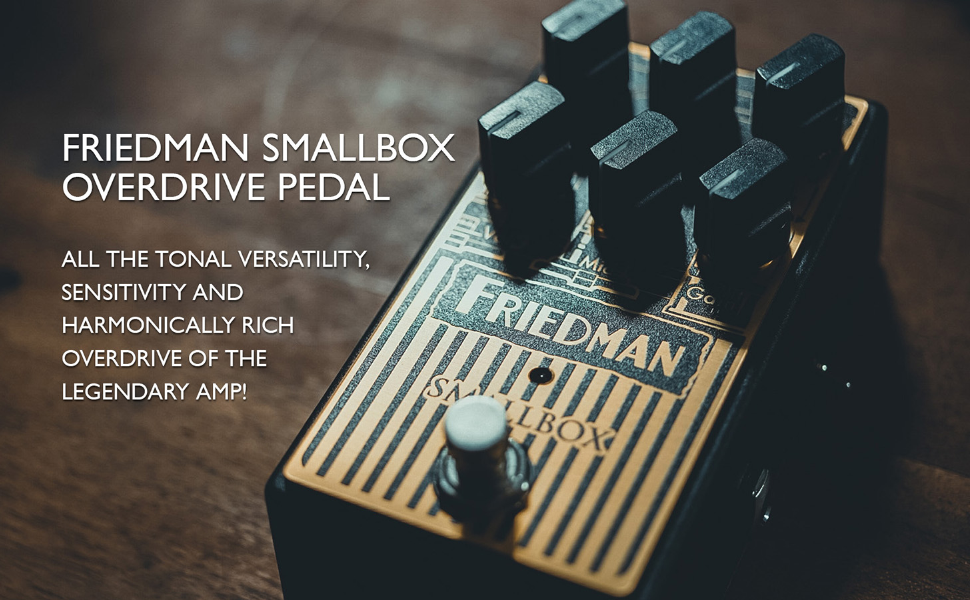 Amazon.com: Friedman Smallbox Overdrive Pedal : Musical Instruments