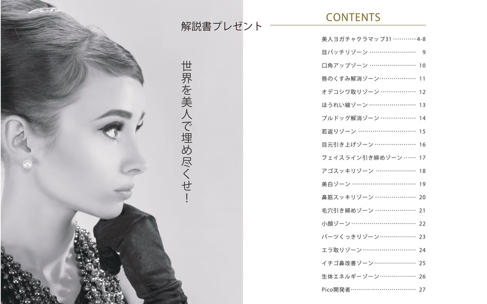 Amazon | Lara 小顔スティック ペールピンク セルフケア A4 27ページ