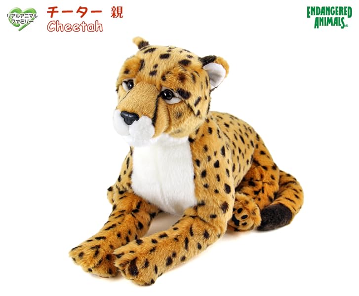 Amazon.co.jp: カロラータ チーター ぬいぐるみ (親/リアルアニマル