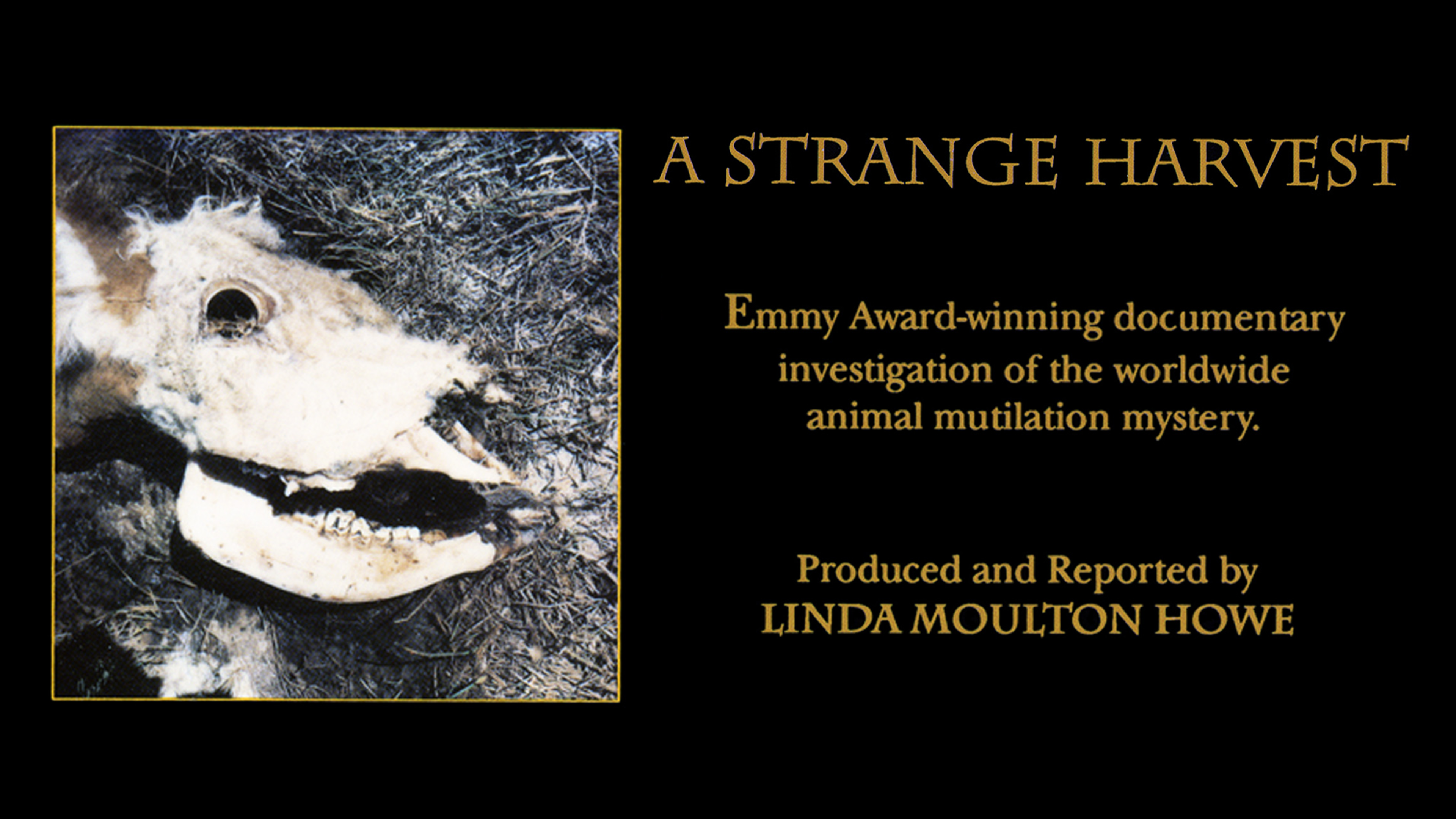 Prime Video: A Strange Harvest