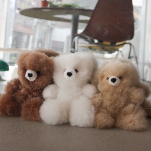 ARTE（アルッテ）ナチュラルテディベアS 3種