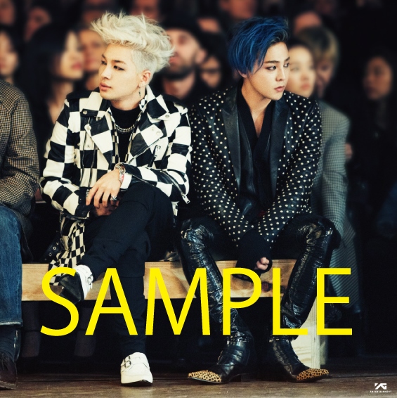 G-DRAGON × TAEYANG / 『G-DRAGON × TAEYANG IN PARIS 2014』 2014.06
