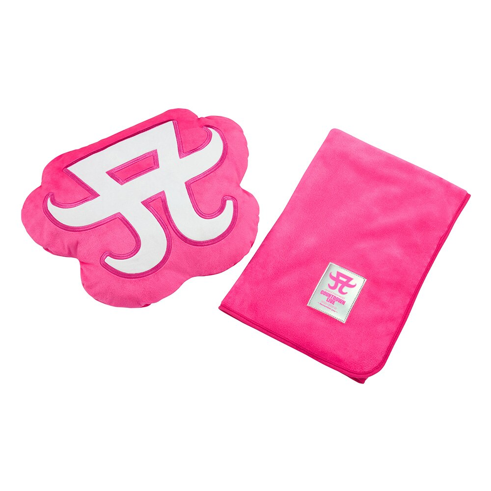 ayumi hamasaki COUNTDOWN LIVE 2022-2023 A ～Remember you