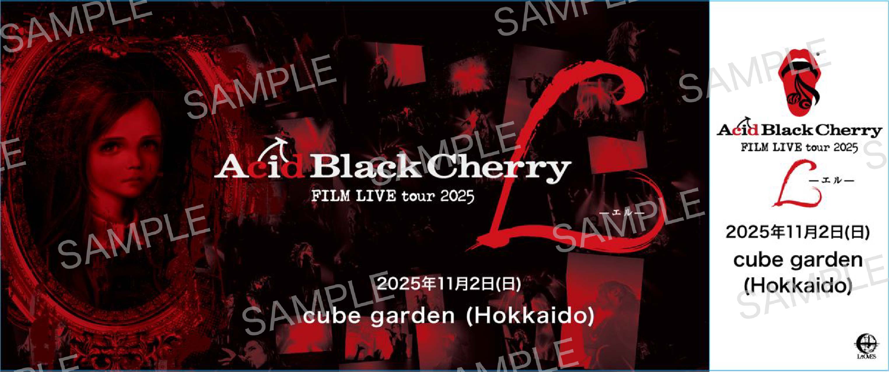 Acid Black Cherry FILM LIVE tour 2025 